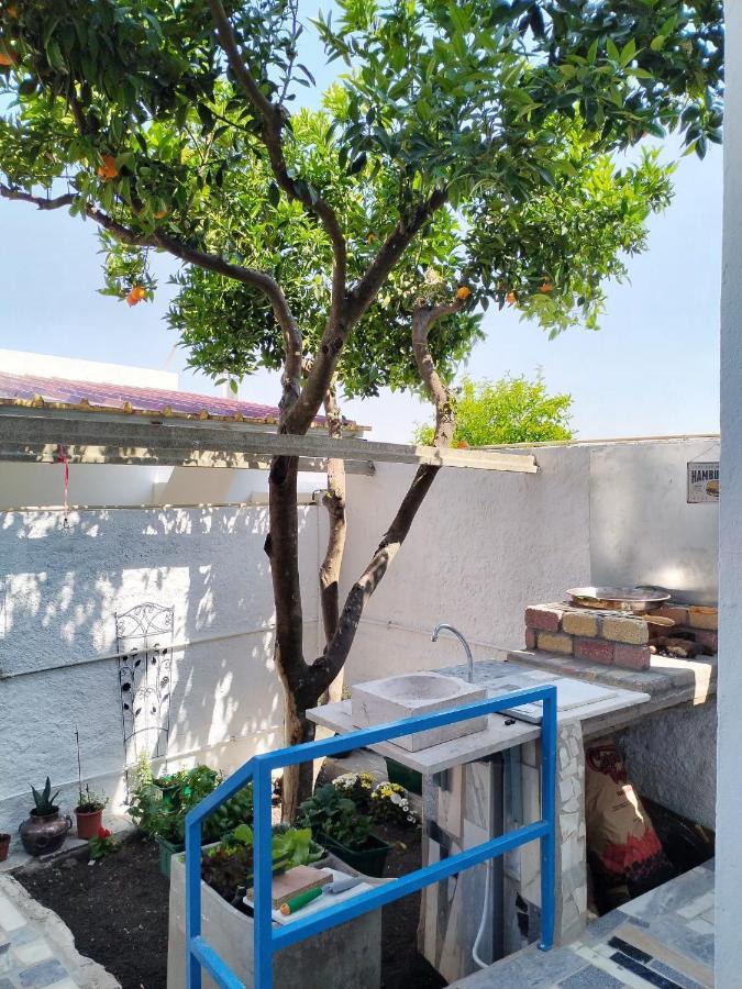 Casa Da Laranjeira Apartment Montargil Bagian luar foto